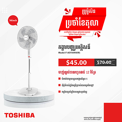 Toshiba Electric Fan 16 inch